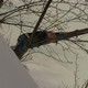 �����, 35