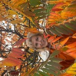 Mila, 71 (36 , 0 )